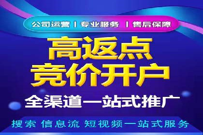 解析某某SEM服务公司如何通过数据分析优化广告效果
